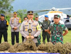 Gunakan Teknologi Citra Satelit, Polda Sumut Temukan 150 Ha Ladang Ganja
