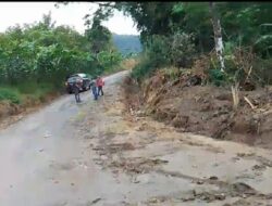 Dianggap Kangkangi UU KIP, Pengerjaan Proyek Pengaspalan dan Tembok Penahan Parit di Bongguron Kariahan Raya Penuh Kejanggalan