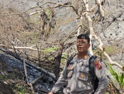 Kapolsek Silau Kahean Turun Langsung Cegah Kebakaran Lahan di Hutan Register Nagori Asih