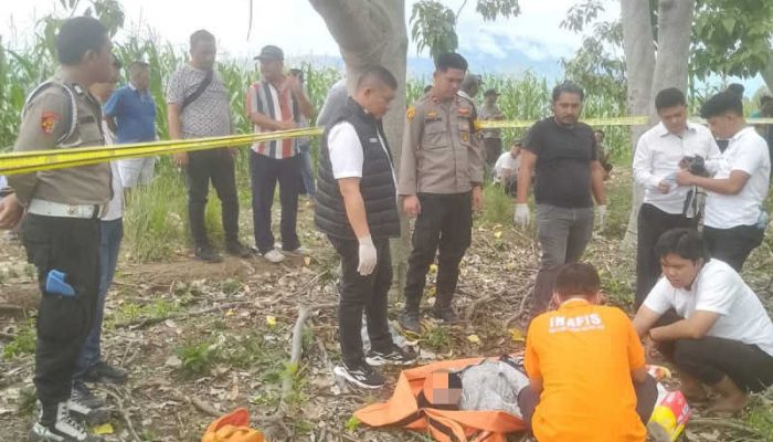 Polres Samosir Evakuasi Mayat Pria Yang Ditemukan Tergantung di Pohon