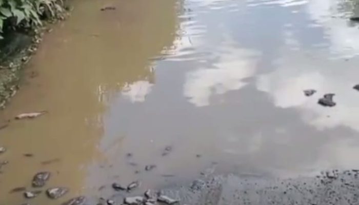 Warga Saribu Jandi kabupaten Simalungun Berharap Jalannya Diperbaiki