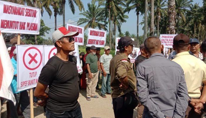 Petani Plasma Gunung Malela Unras ke PT Sipef Desak Realisasi Kewajiban Plasma